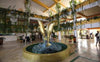 Hotel Cozumel Feb 7th - 14th 2026