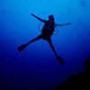 Divemaster