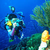 Digital Underwater Photography