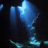Night Diver